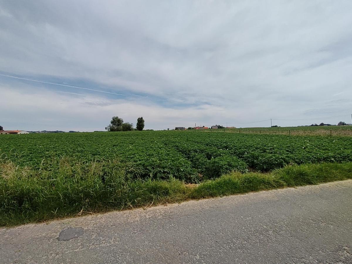 Mote26 Villa Ingooigem Eksteriør bilde